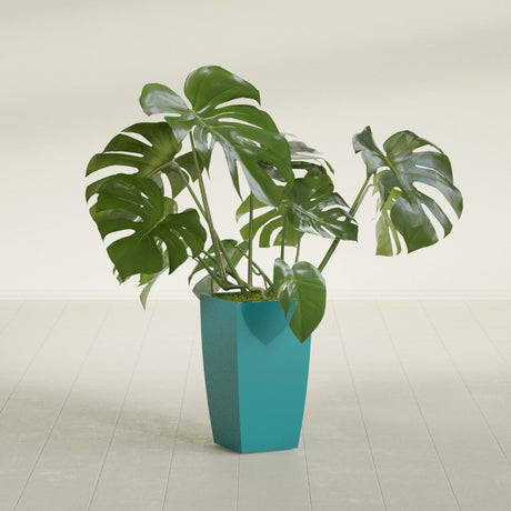 Toulan Tapered Square fiberglass planter in Satin Seafoam Green, shown planted, in a sunlit interior