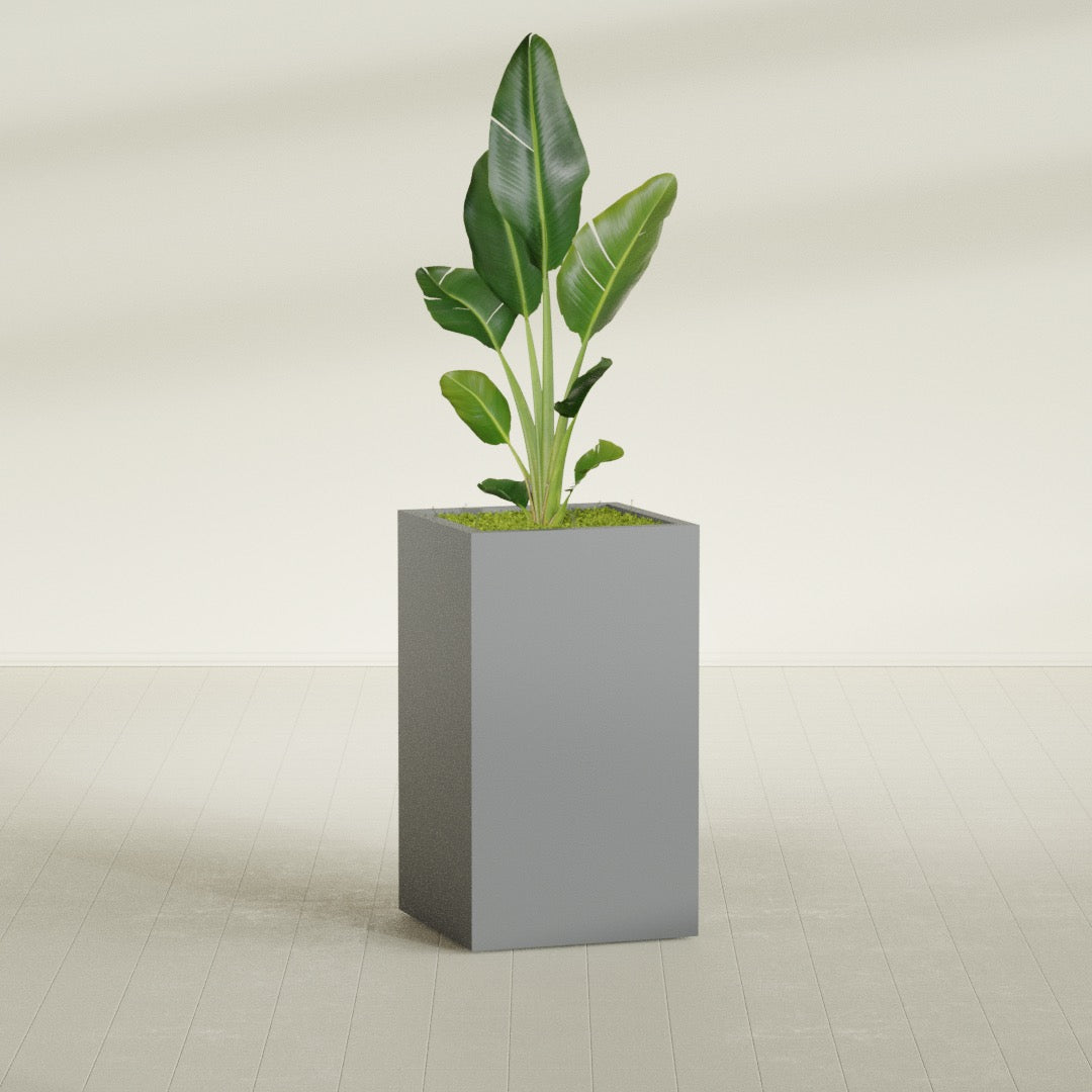 Darwin Corner fiberglass planter in Matte Gunmetal, shown planted, in a sunlit interior