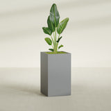 Darwin Corner fiberglass planter in Matte Gunmetal, shown planted, in a sunlit interior
