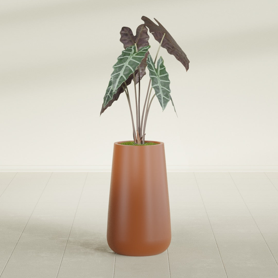 Saigon Tapered Round fiberglass planter in Matte Terra Cotta, shown planted, in a sunlit interior