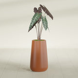 Saigon Tapered Round fiberglass planter in Matte Terra Cotta, shown planted, in a sunlit interior