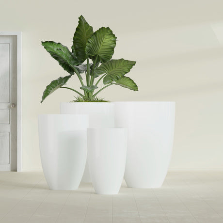 Brannan Tapered Round fiberglass planter in Gloss Bright White, size range, in a sunlit interior