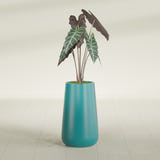 Saigon Tapered Round fiberglass planter in Satin Seafoam Green, shown planted, in a sunlit interior