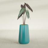 Saigon Tapered Round fiberglass planter in Satin Seafoam Green, shown planted, in a sunlit interior