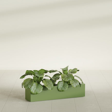 Salon Narrow Rectangular Box fiberglass planter in Satin Green, planted, in a sunlit interior