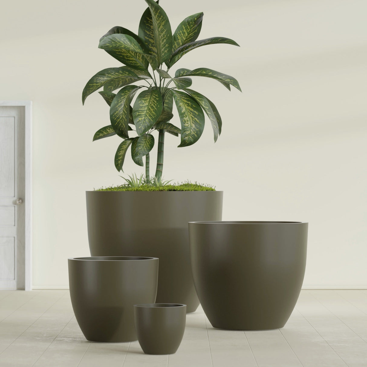 Wannsee Round fiberglass planter in Matte Bronze, size range, in a sunlit interior