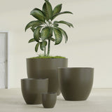 Wannsee Round fiberglass planter in Matte Bronze, size range, in a sunlit interior