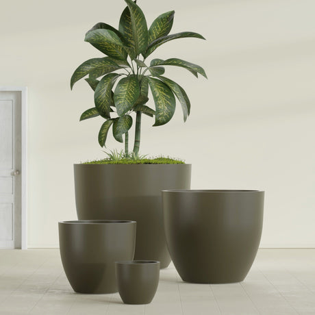 Wannsee Round fiberglass planter in Matte Bronze, size range, in a sunlit interior