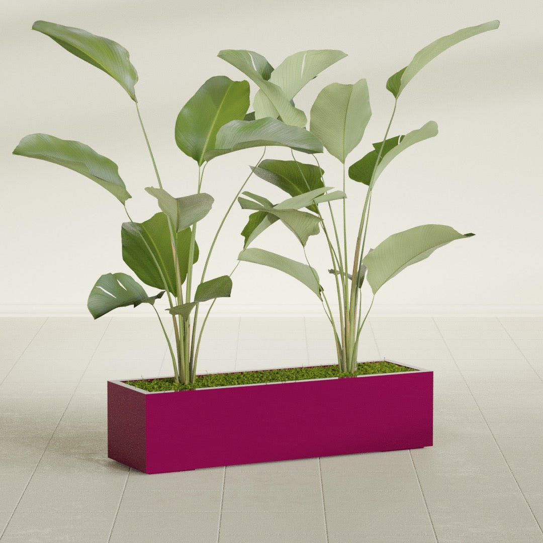 Cuba Low Rectangular fiberglass planter in Gloss Eggplant, shown planted, in a sunlit interior