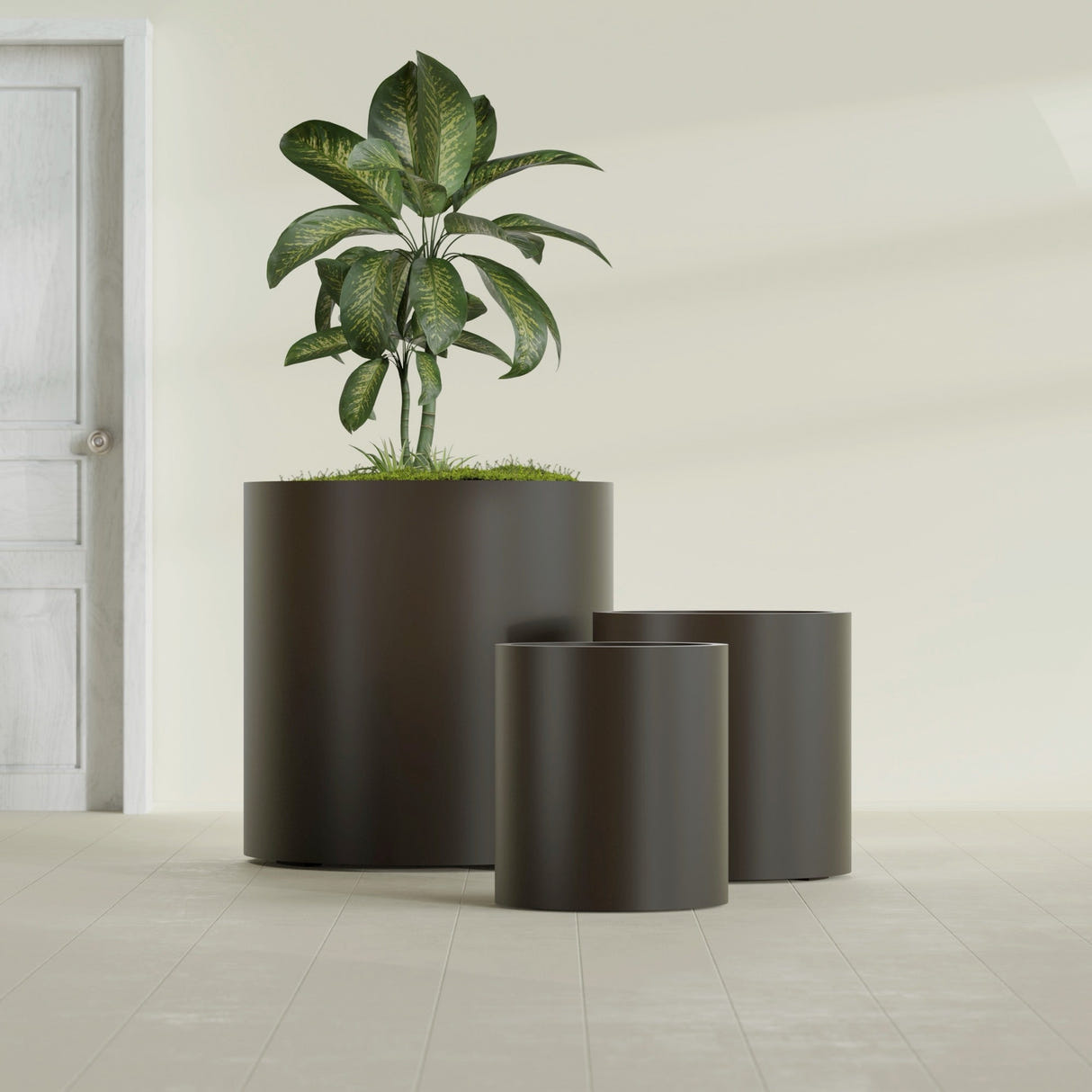 Rio Grande Cylinder fiberglass planter in Matte Dark Brown, size range, in a sunlit interior