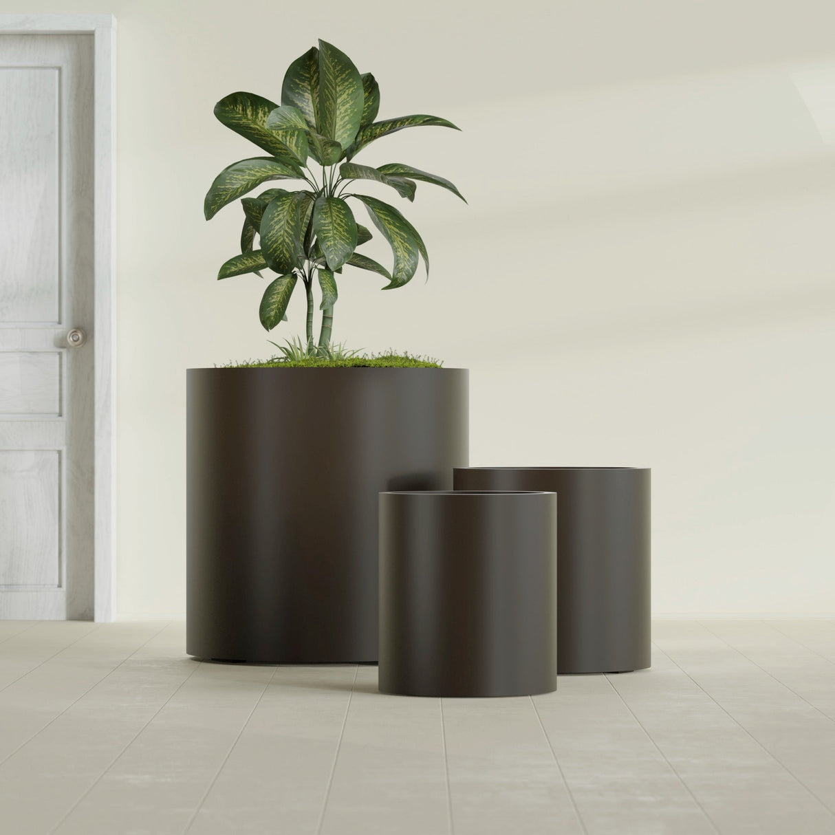 Rio Grande Cylinder fiberglass planter in Matte Dark Brown, size range, in a sunlit interior