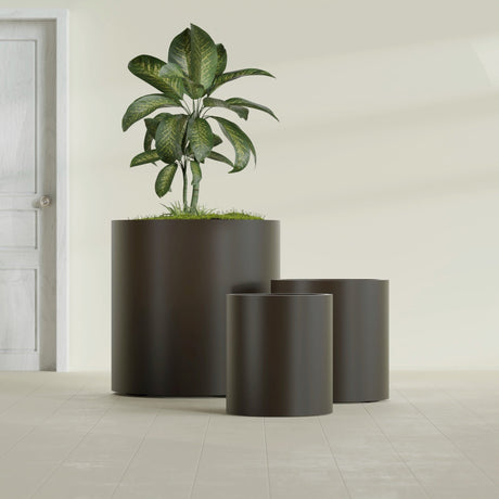 Rio Grande Cylinder fiberglass planter in Matte Dark Brown, size range, in a sunlit interior