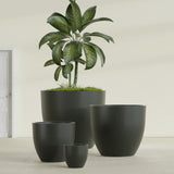 Wannsee Round fiberglass planter in Matte Charcoal, size range, in a sunlit interior