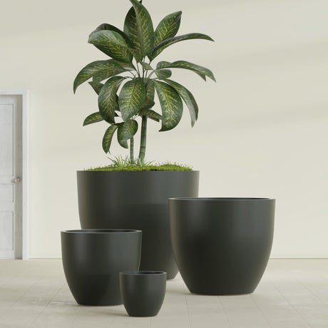 Wannsee Round fiberglass planter in Matte Charcoal, size range, in a sunlit interior
