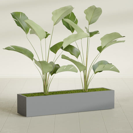Cuba Low Rectangular fiberglass planter in Matte Gunmetal, planted, in a sunlit interior