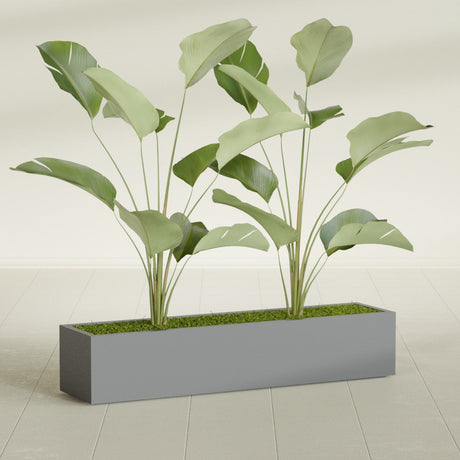Cuba Low Rectangular fiberglass planter in Matte Gunmetal, planted, in a sunlit interior