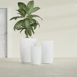 Lisbon Tall Round fiberglass planter in Matte Bright White, size range, in a sunlit interior