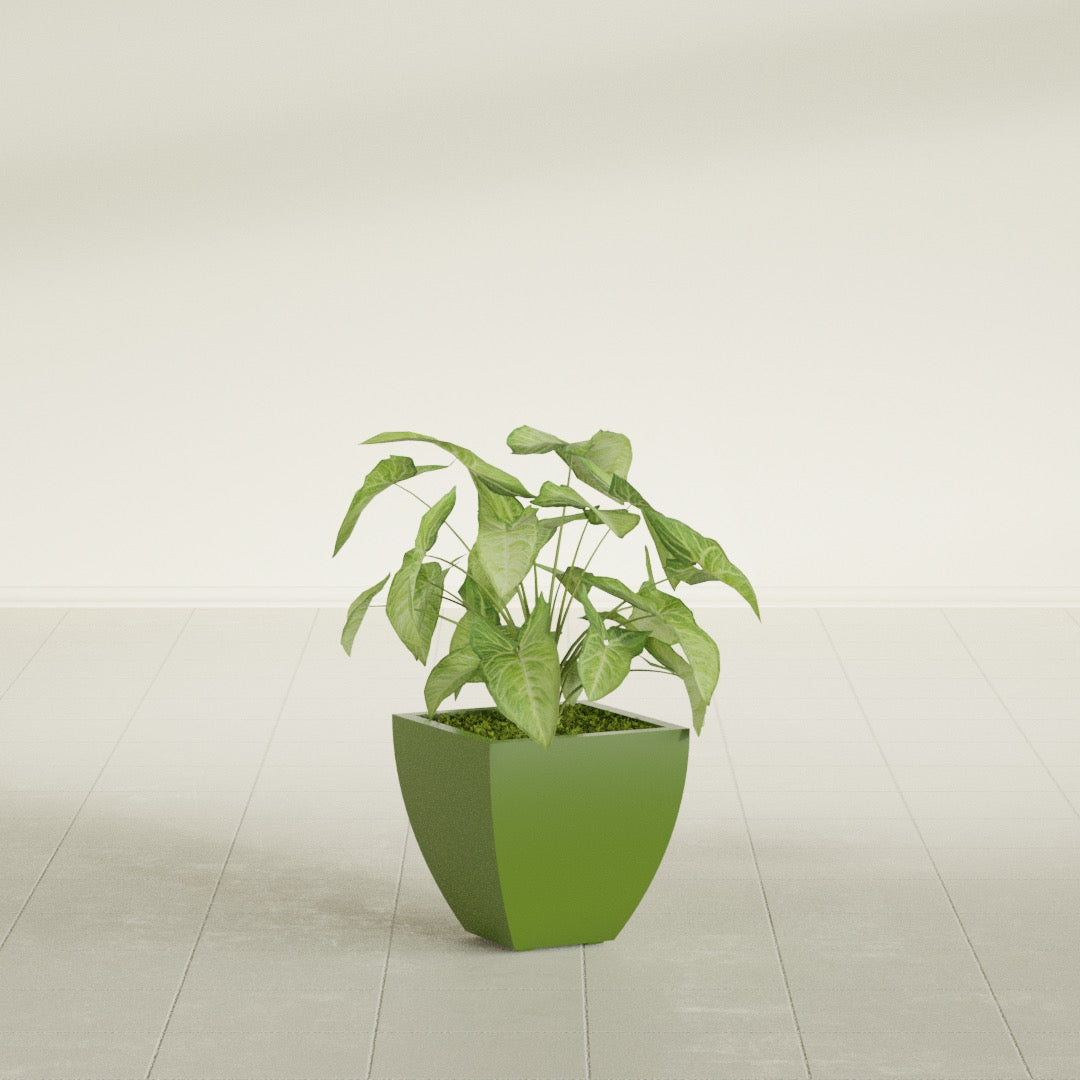 Lima Tapered Square fiberglass planter in Satin Green, shown planted, in a sunlit interior