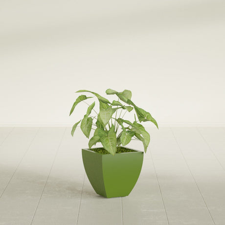 Lima Tapered Square fiberglass planter in Satin Green, shown planted, in a sunlit interior