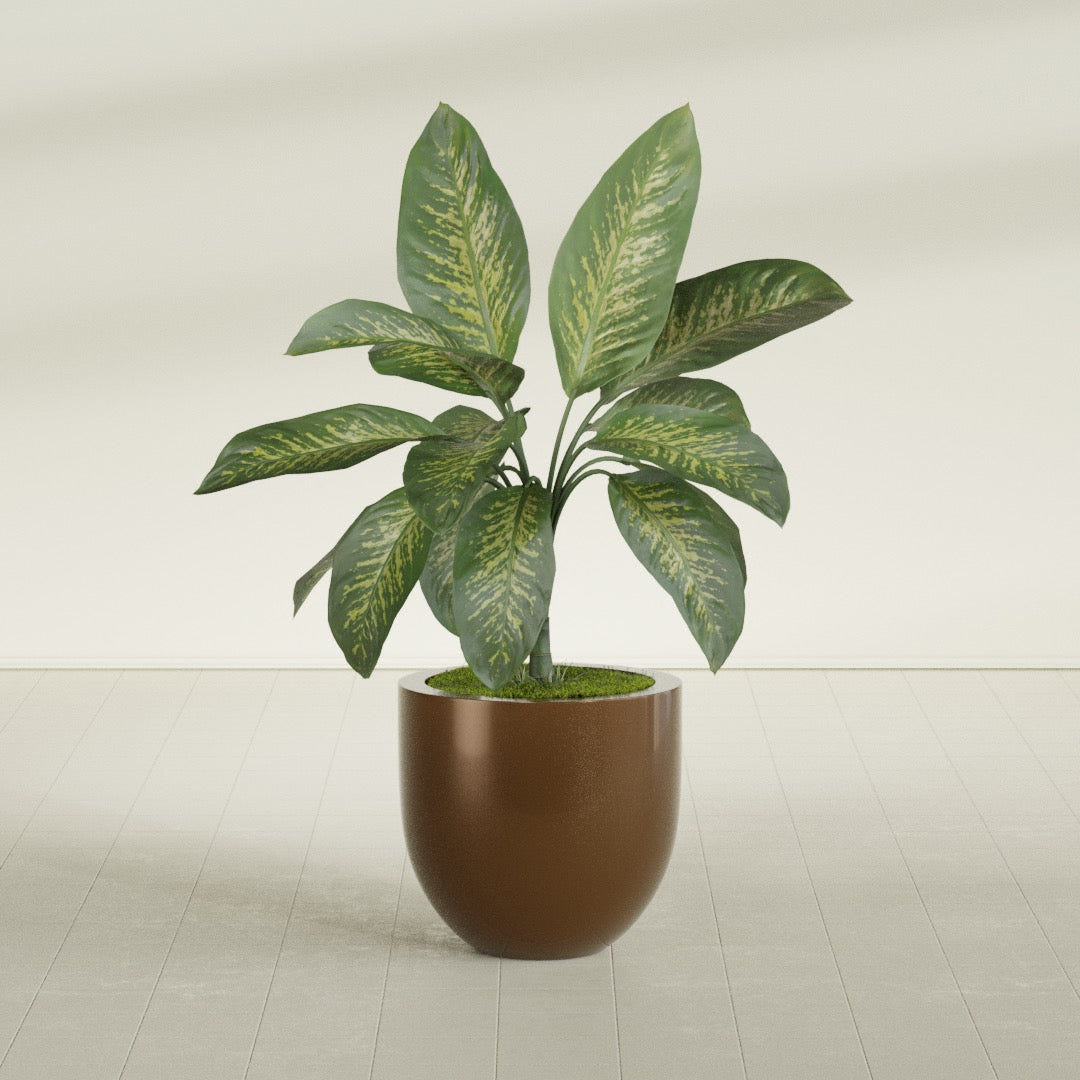 Alzira Bowl fiberglass planter in Metallic Bronze, shown planted, in a sunlit interior