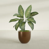 Alzira Bowl fiberglass planter in Metallic Bronze, shown planted, in a sunlit interior