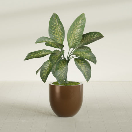 Alzira Bowl fiberglass planter in Metallic Bronze, shown planted, in a sunlit interior