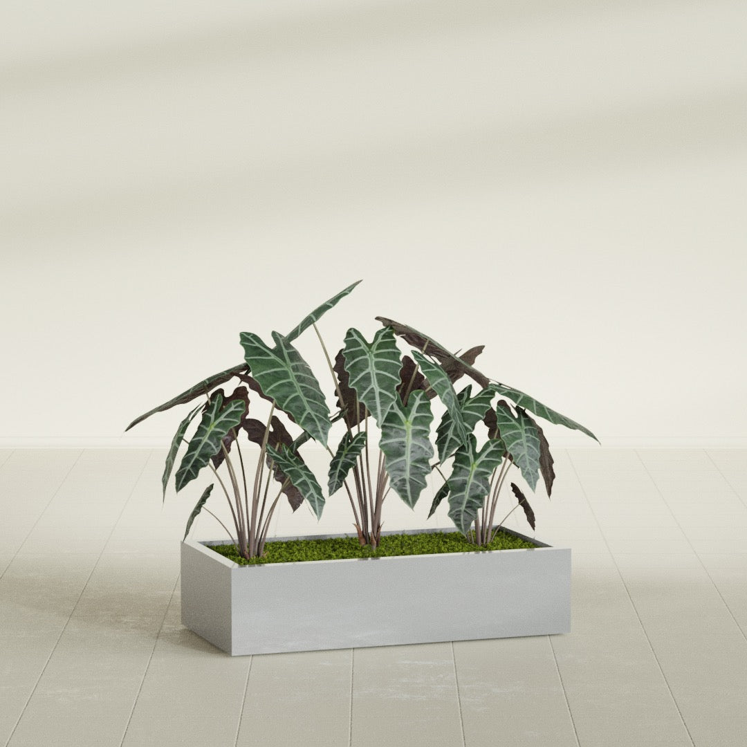 Antwerp Rectangular fiberglass planter in Metallic Silver, shown planted, in a sunlit interior