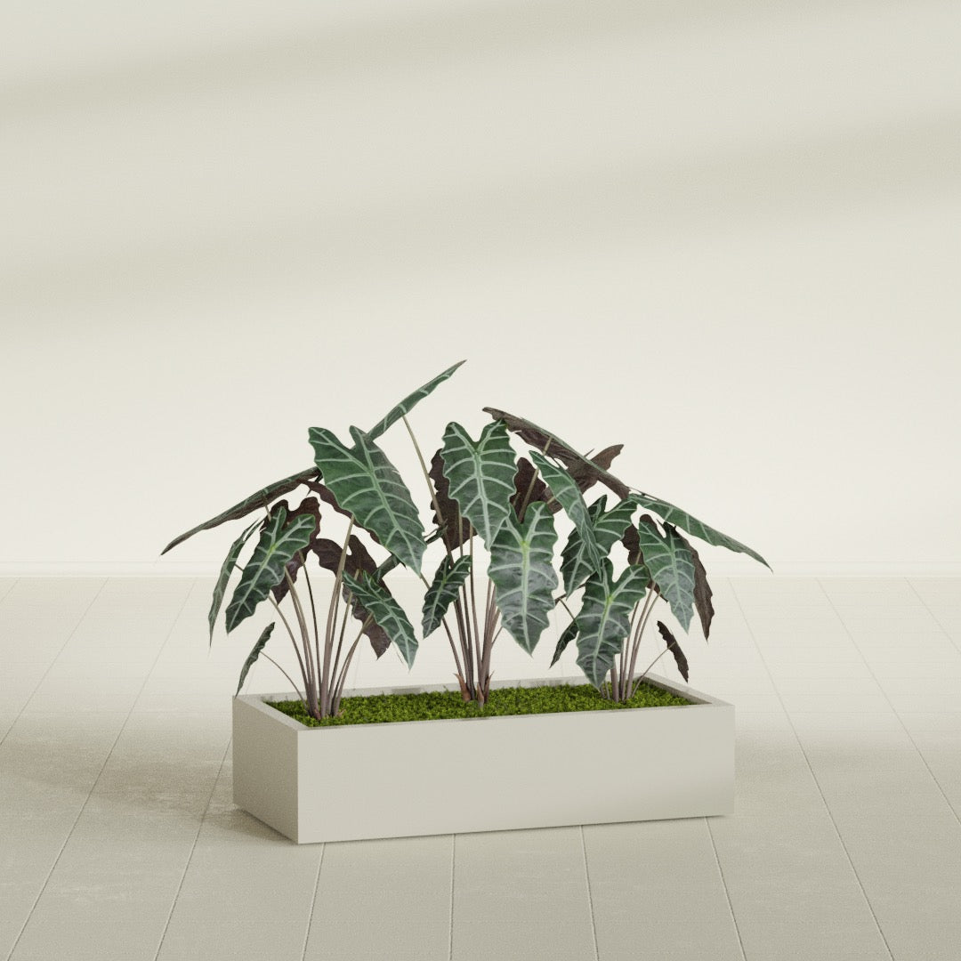 Antwerp Rectangular fiberglass planter in Satin Beige, shown planted, in a sunlit interior