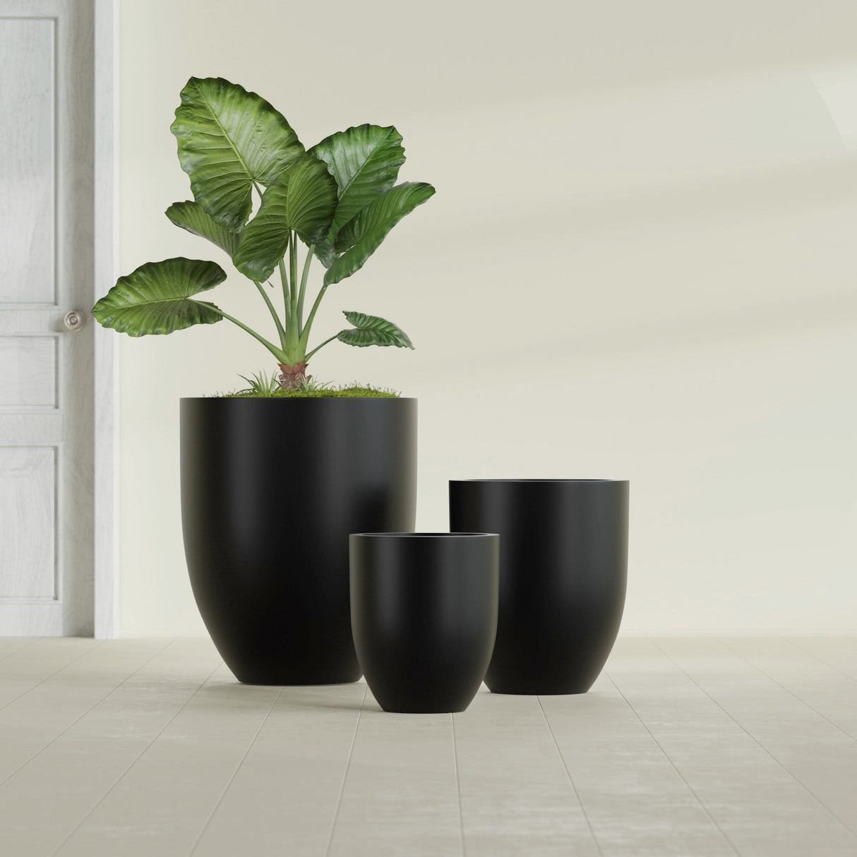 Valencia Tapered Round fiberglass planter in Matte Black, size range, in a sunlit interior