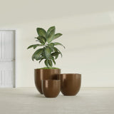 Alzira Bowl fiberglass planter in Metallic Bronze, size range, in a sunlit interior