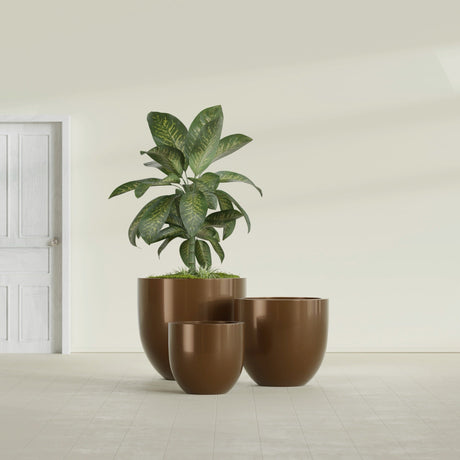 Alzira Bowl fiberglass planter in Metallic Bronze, size range, in a sunlit interior