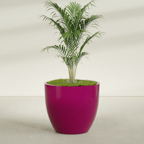 Wannsee Round fiberglass planter in Gloss Eggplant, shown planted, in a sunlit interior