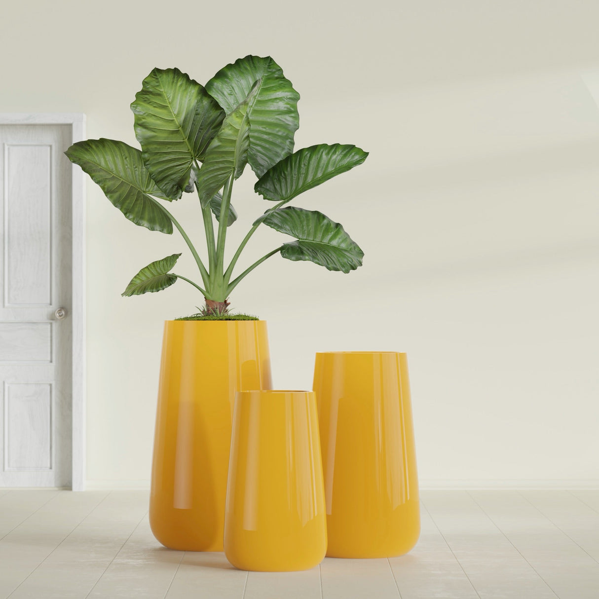 Saigon Tapered Round fiberglass planter in Gloss Saffron, size range, in a sunlit interior