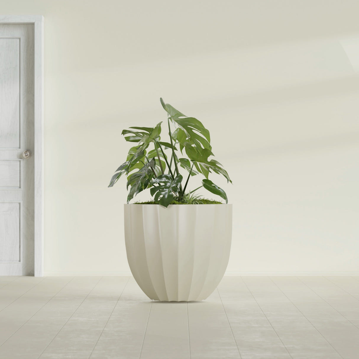 Santa Barbara Fluted Round fiberglass planter in Satin Beige, shown planted, in a sunlit interior