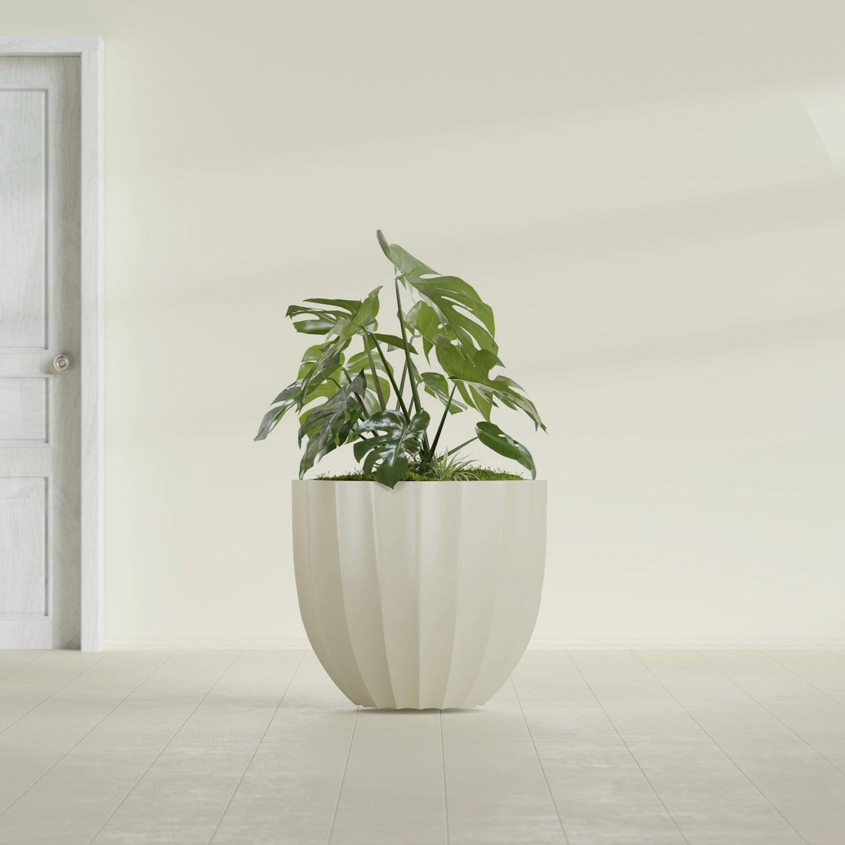 Santa Barbara Fluted Round fiberglass planter in Satin Beige, shown planted, in a sunlit interior