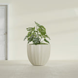 Santa Barbara Fluted Round fiberglass planter in Satin Beige, shown planted, in a sunlit interior