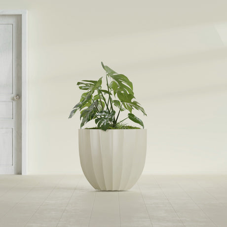 Santa Barbara Fluted Round fiberglass planter in Satin Beige, shown planted, in a sunlit interior