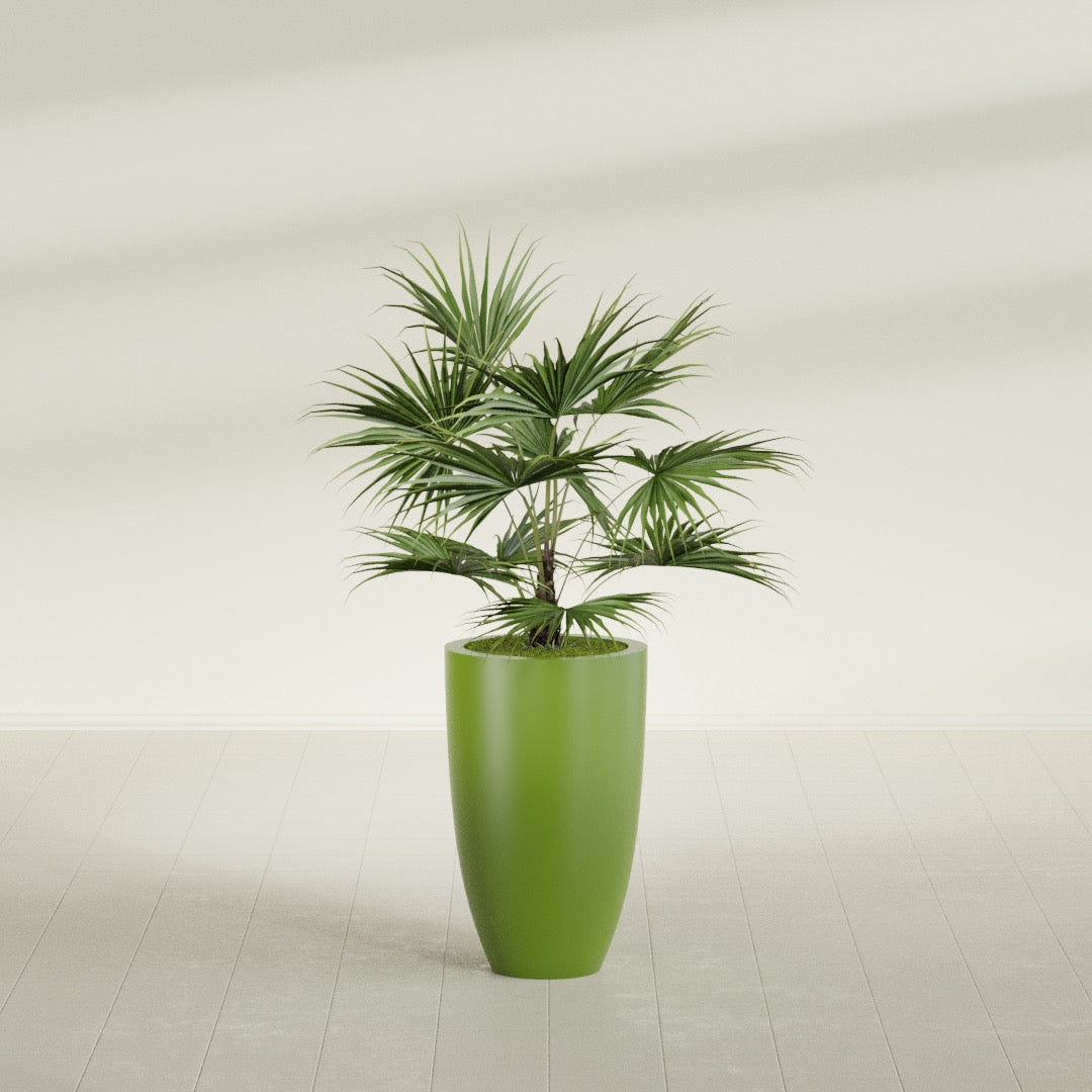 Brannan Tapered Round fiberglass planter in Satin Green, shown planted, in a sunlit interior