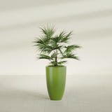 Brannan Tapered Round fiberglass planter in Satin Green, shown planted, in a sunlit interior