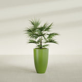 Brannan Tapered Round fiberglass planter in Satin Green, shown planted, in a sunlit interior