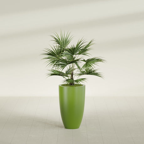 Brannan Tapered Round fiberglass planter in Satin Green, shown planted, in a sunlit interior