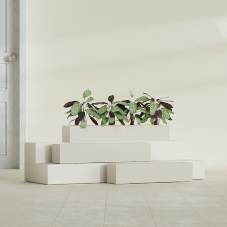 Salon Box fiberglass planter in Satin Beige, size range, in a sunlit interior