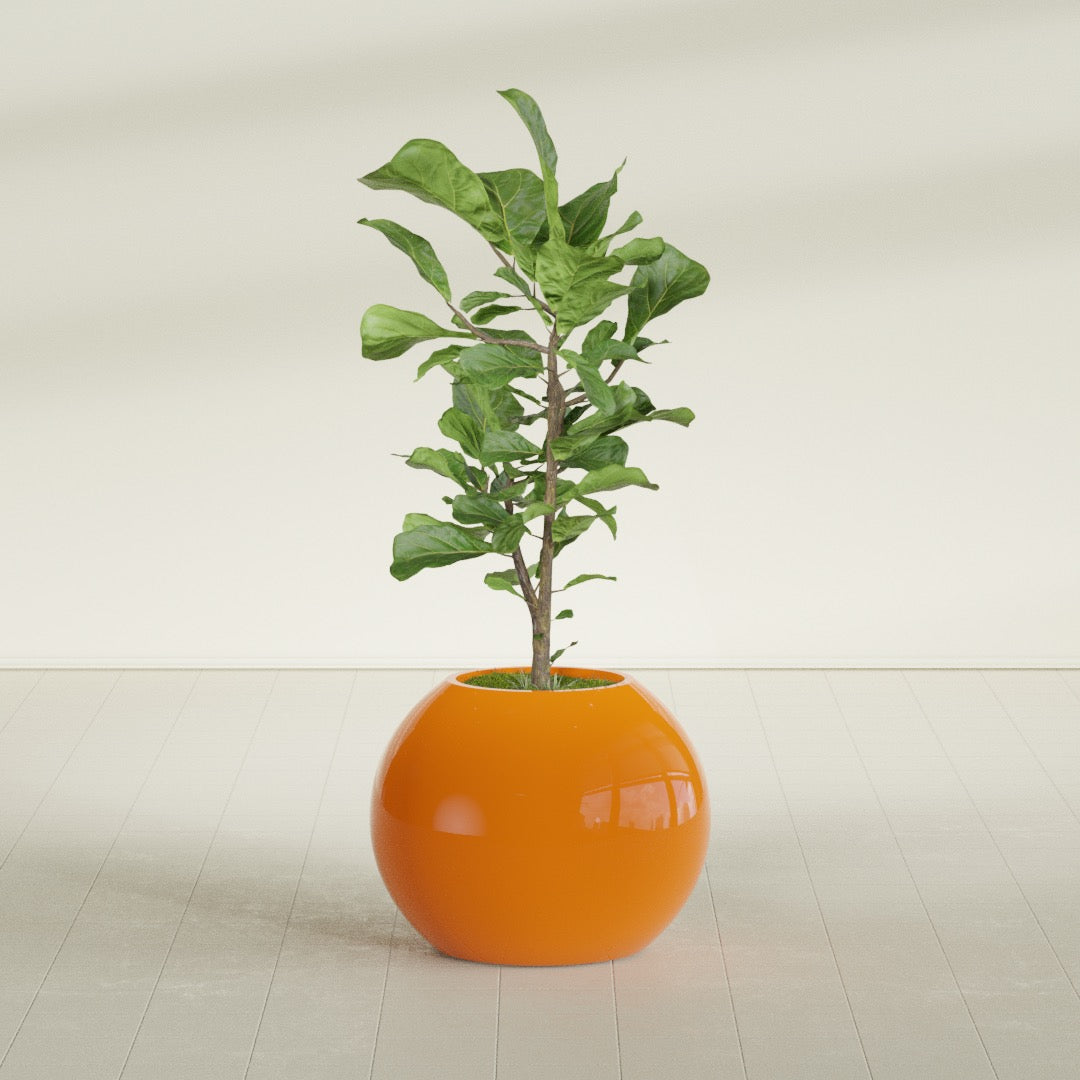 Globe fiberglass planter in Gloss Tangerine, shown planted, in a sunlit interior