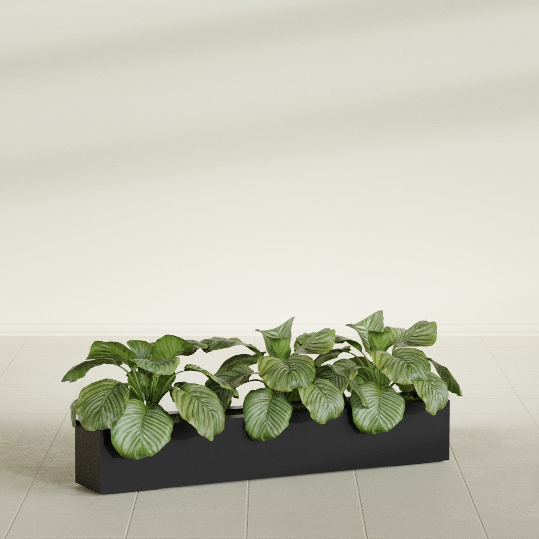 Salon Box fiberglass planter in Matte Black, shown planted, in a sunlit interior