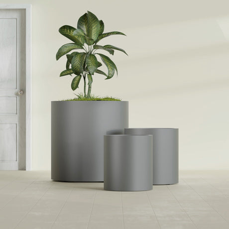 Rio Grande Cylinder fiberglass planter in Matte Gunmetal, size range, in a sunlit interior