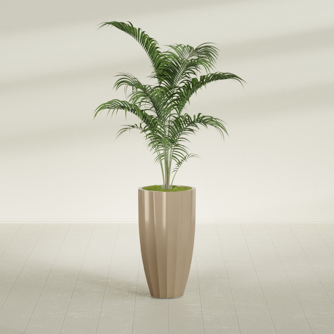 San Jose Tall Fluted fiberglass planter in Gloss Metallic Gold, shown planted, in a sunlit interior