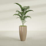 San Jose Tall Fluted fiberglass planter in Gloss Metallic Gold, shown planted, in a sunlit interior