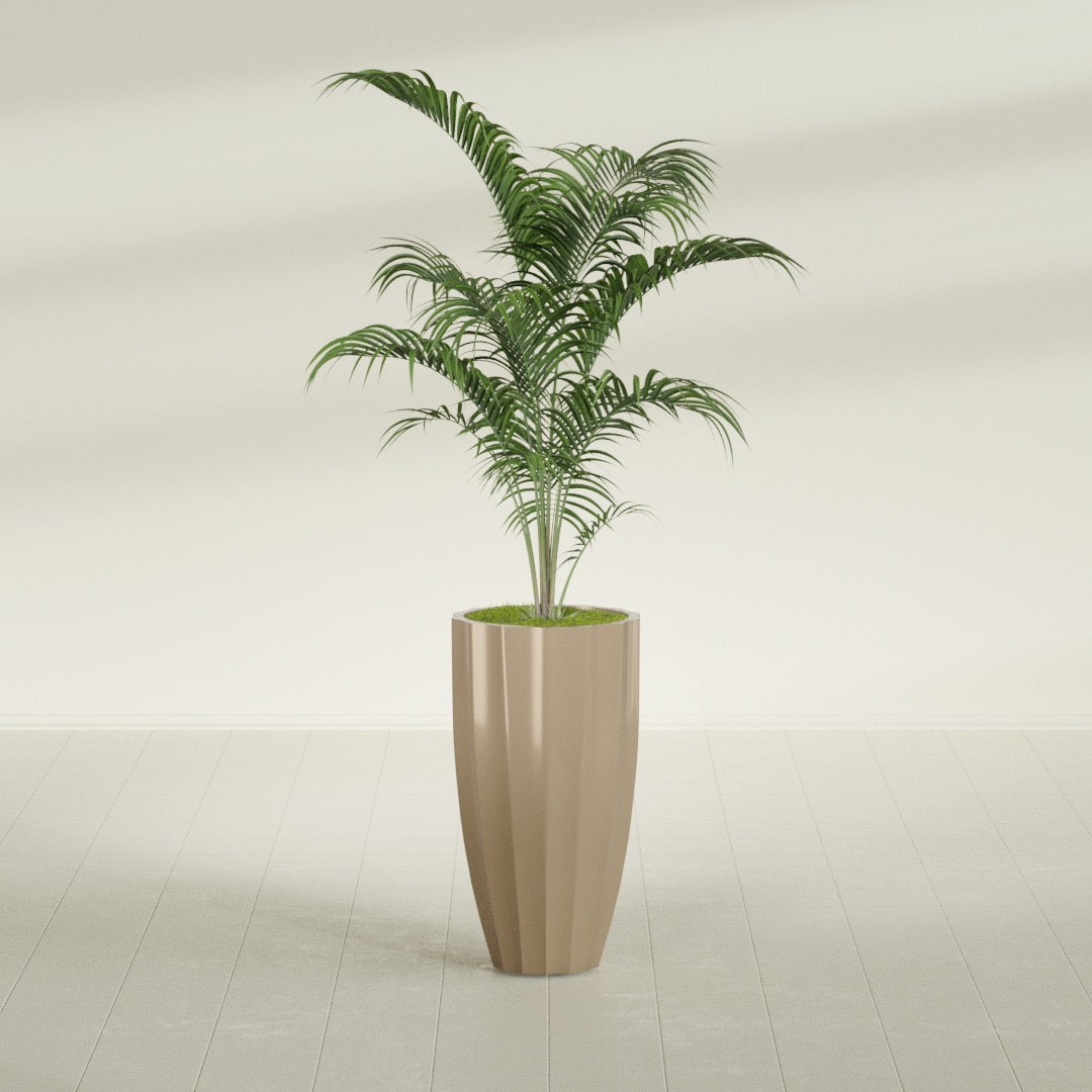 San Jose Tall Fluted fiberglass planter in Gloss Metallic Gold, shown planted, in a sunlit interior