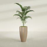 San Jose Tall Fluted fiberglass planter in Gloss Metallic Gold, shown planted, in a sunlit interior