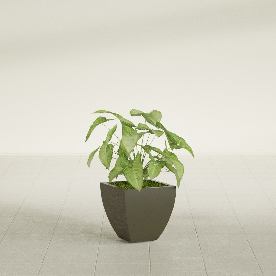 Lima Tapered Square fiberglass planter in Matte Bronze, shown planted, in a sunlit interior